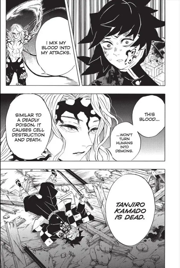 Demon Slayer Chapter 184 image 19_optimized